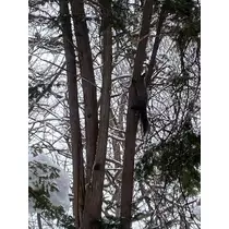 長瀬 純恋
