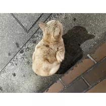 ちぃ