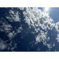 猫羽 のん