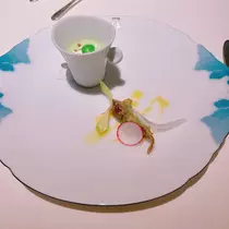 向日葵 ひまり