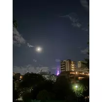 みさき