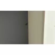 神永 莉聖