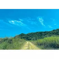 ゆかり