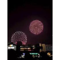 みお