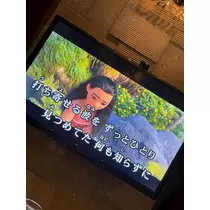 桜乃 咲美