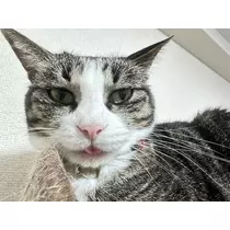 ユズ