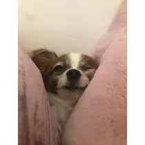 ティナ