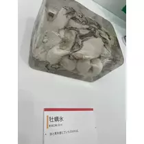 美月