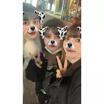 もも