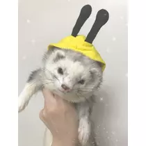 ちなつ