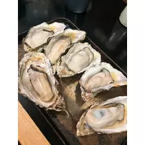 華咲 えみり