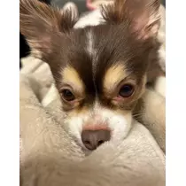 さな