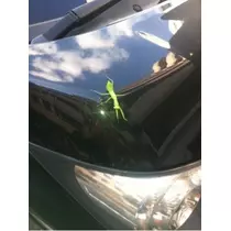 なお