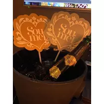 白石 愛莉