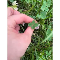 綾瀬 優