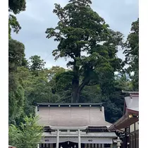 愛羽 仁美