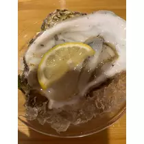 きょう