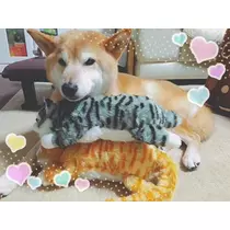 もも