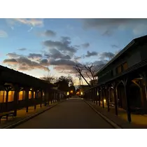 あいゆ