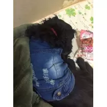 りえ