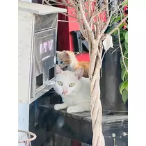 あ