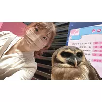 しおり