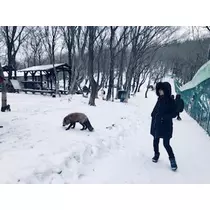 ゆかり
