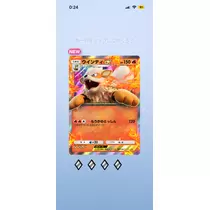 ぱき