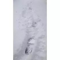 のはら かすみ