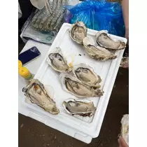 ひな