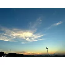 せいら