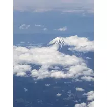 白石 愛莉