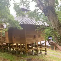 荒木 ナツミ