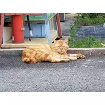 エミ （スタッフ）