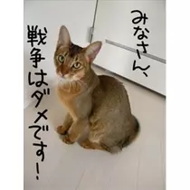 りな