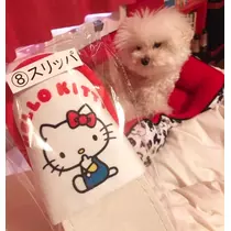 夏樹 あや