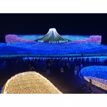 宝條 夏恋