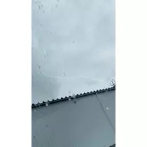 らん