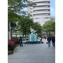 ひかる