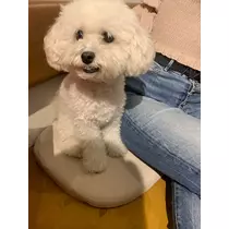 まりな