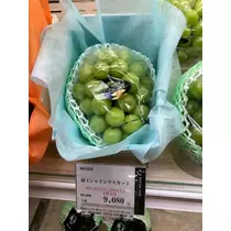 片桐 さやか