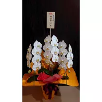 のはら かすみ