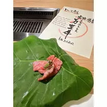 美咲 のばら