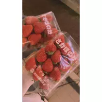 かんな