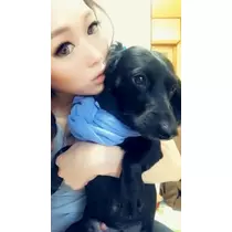 りえ