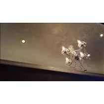 桃瀬 百華