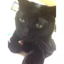 トモミ