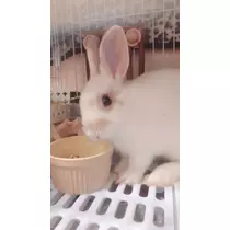 あきな
