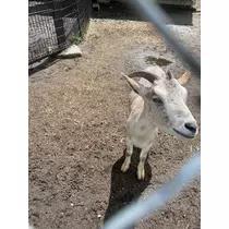 みらい