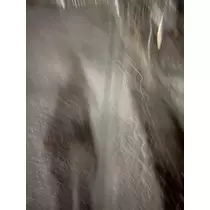 スズ